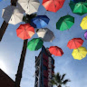 Meet your Posher, Eva